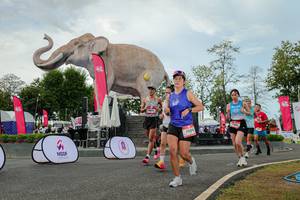 BIB: 
                            <button type="button" onclick="openModal(26528807)" class="btn btn-primary btn-sm float-right btn-popup" data-toggle="modal" data-target=".modal-high-quality">
                        <i class="fas fa-shopping-cart"></i> Add to Cart
                    </button>
                                            <button type="button" onclick="isThisMe(26528807, true)" class="btn btn-success btn-sm float-right btn-popup btn-isme hidden" data-toggle="tooltip" data-placement="bottom" title="นี่คือรูปของคุณใช่ไหม คลิกที่นี่เพื่อเอาเข้าอัลบั้ม">
                        <i class="fas fa-plus"></i> Add to album
                    </button>
                    <button type="button" onclick="isThisMe(26528807, false)" class="btn btn-warning btn-sm float-right btn-popup btn-isnotme hidden">
                        <i class="fas fa-ban"></i> Remove from album
                    </button>